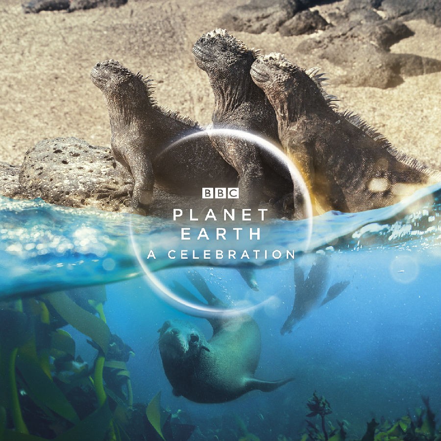 [4K蓝光]BBC.地球脉动.生命礼赞.Planet.Earth.A.Celebration.2020.BluRay.720P.X264.AAC-NCCX