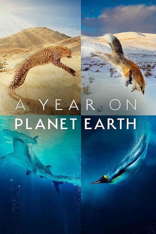 [4K蓝光][地球上的一年 A Year on Planet Earth 第一季][全06集][英语中字]