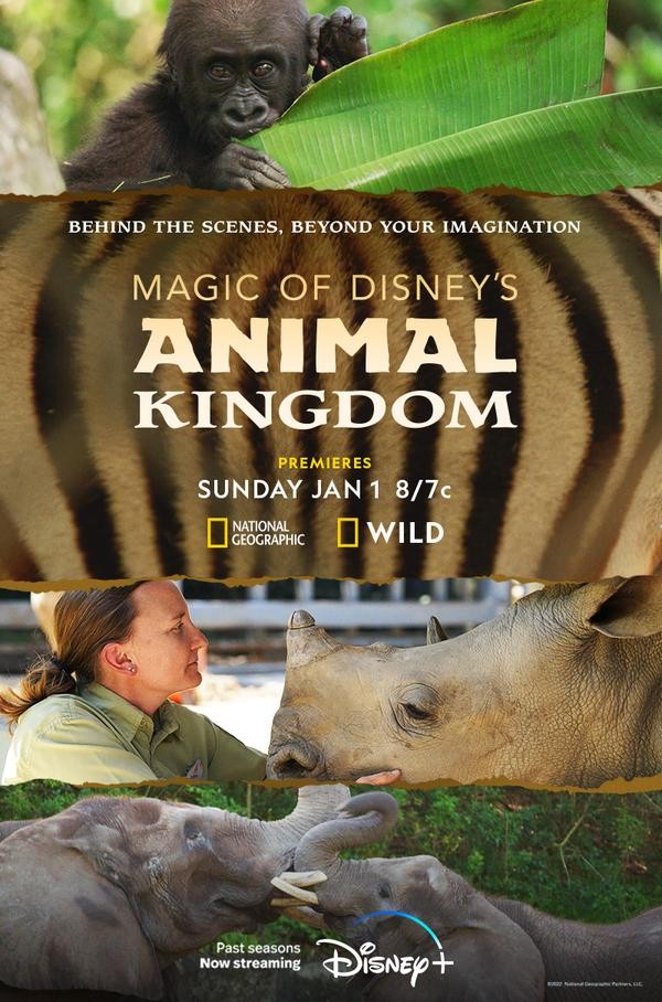 [4K蓝光][迪士尼动物王国 Magic of Disneys Animal Kingdom 第二季][全10集][英语中字]