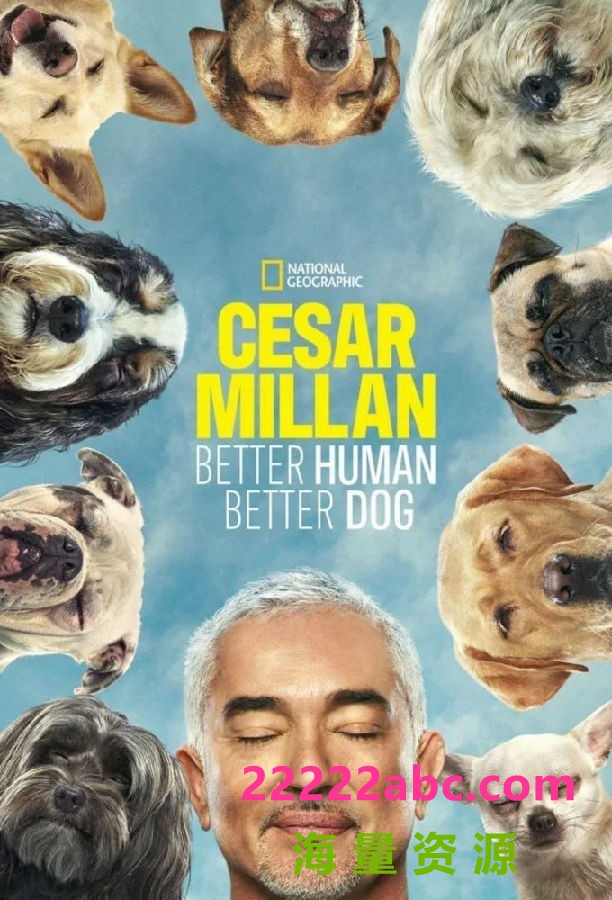 [4K蓝光][西泽教官狗主人训练班 Cesar Millan 第二季][全12集][英语中字]