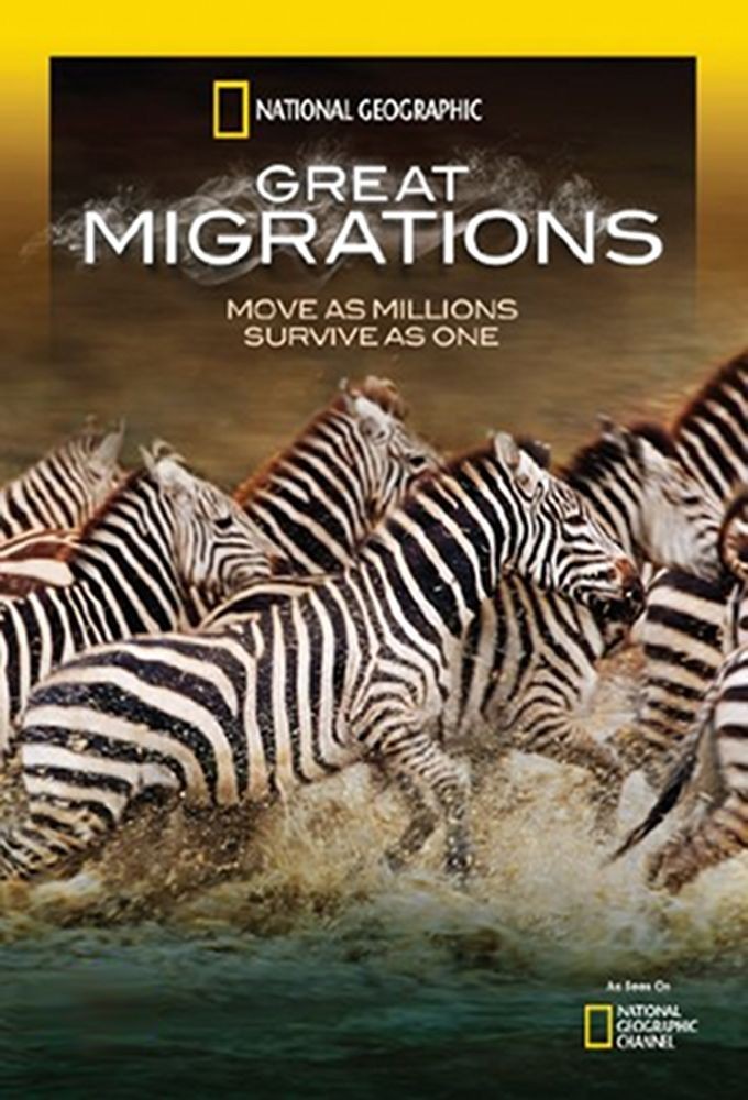 [4K蓝光][大迁徙 Great Migrations 第一季][全04集][英语中字]