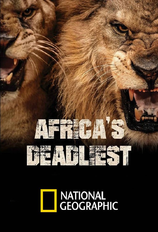 [4K蓝光][非洲致命动物 Africas Deadliest 第一至四季][全04季][英语中字]