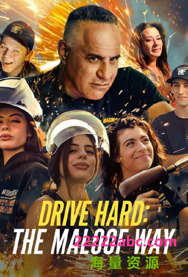 [4K蓝光][努力驾驶：马洛夫之道 Drive Hard 第一季][全08集][英语中字]