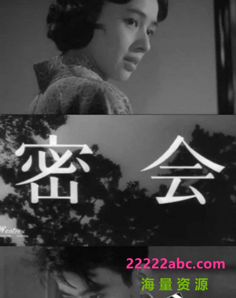 [4K蓝光] 1959日本悬疑《密会》DVDRip.日语中字