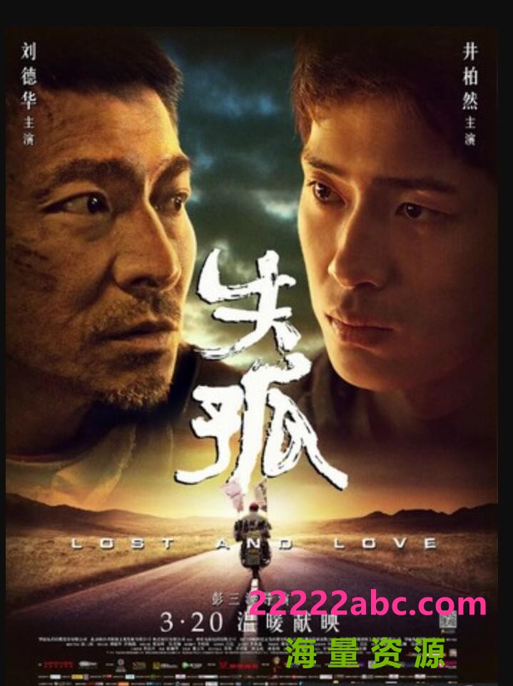 [4K蓝光] 2015刘德华井柏然剧情《失孤》BD1080P.高清国语中字