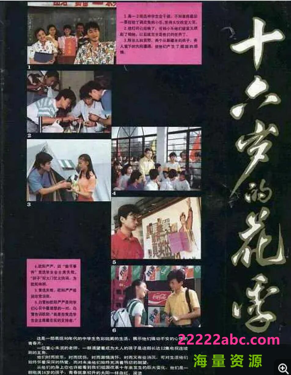 [4K蓝光][1989年][十六岁的花季][国语无字珍藏版][12集全][RMVB/每集约150M]