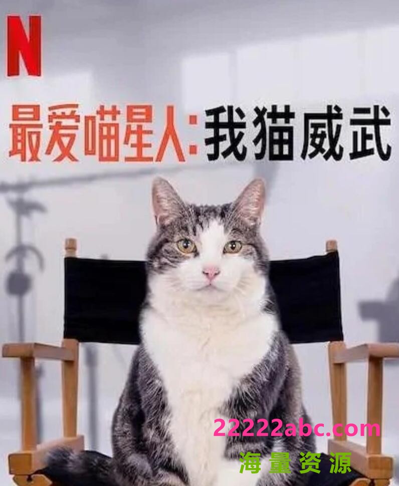 [4K蓝光]2021纪录片《最爱喵星人：我猫威武》HD1080P.中文字幕