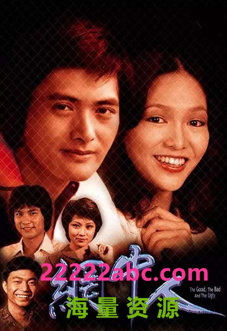 [4K蓝光][DVD9-6碟][香港][1979][网中人I+II][国粤双语无字][VOB/46.3GB][周润发/郑裕玲/任达华]