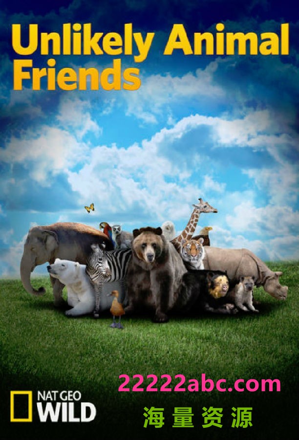 [4K蓝光][不可思议的好朋友 Unlikely Animal Friends 第一至三季][全03季][英语中字]