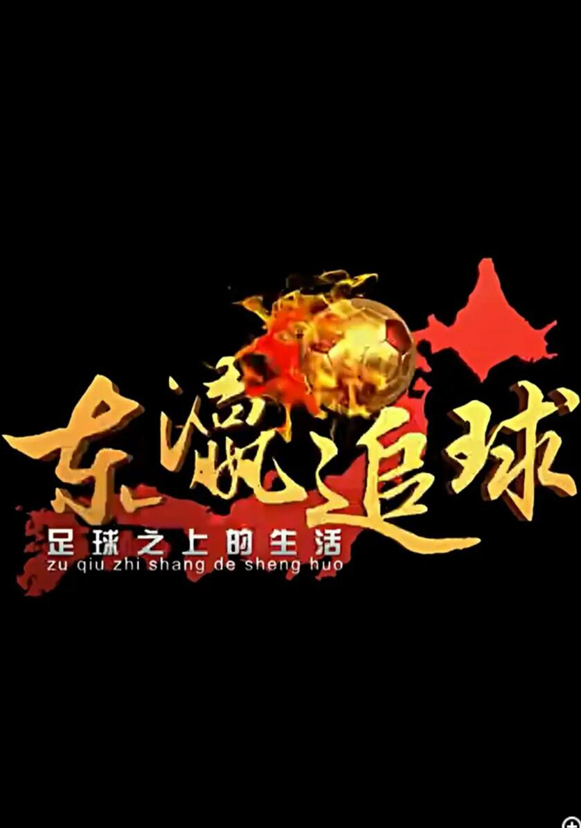 [4K蓝光][东瀛追球][12集全][][中国内地][2016][每集约20-50M][国语中字][480P]