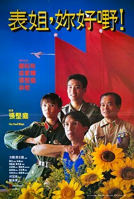 [4K蓝光] 《表姐，你好嘢！1990》