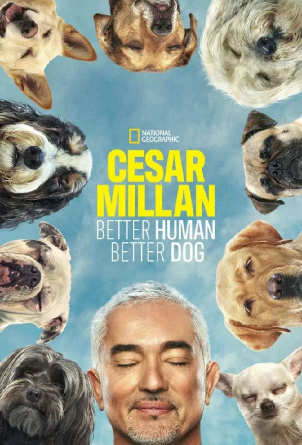 [4K蓝光][Cesar Millan: Better Human Better Dog 第一季][全集]